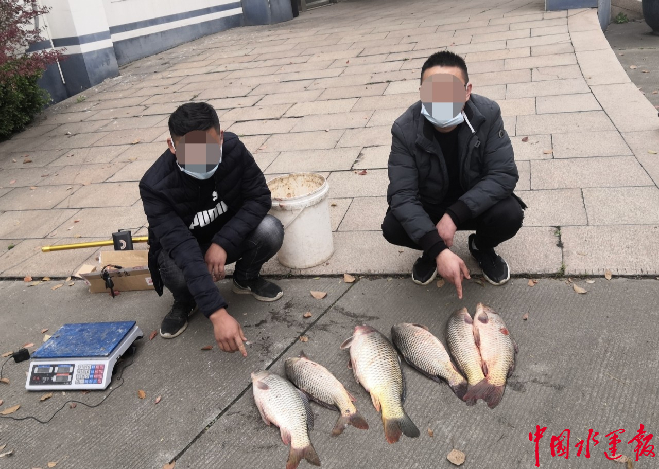 锚鱼非钓鱼02长航公安局苏州分局办理一起使用新型禁用渔具非法捕捞