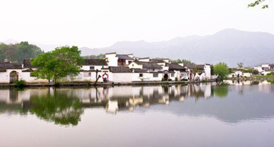 中国の古硯　（清）古歙州　双鶴桃池長方硯　銀花文　細羅紋有　硯本体16.2×11.3×2.5CM　唐物　文物　中国美術工芸品　書道用品 中国硯 歙州硯 歙州金暈硯 歙州石 書道具 証明書付