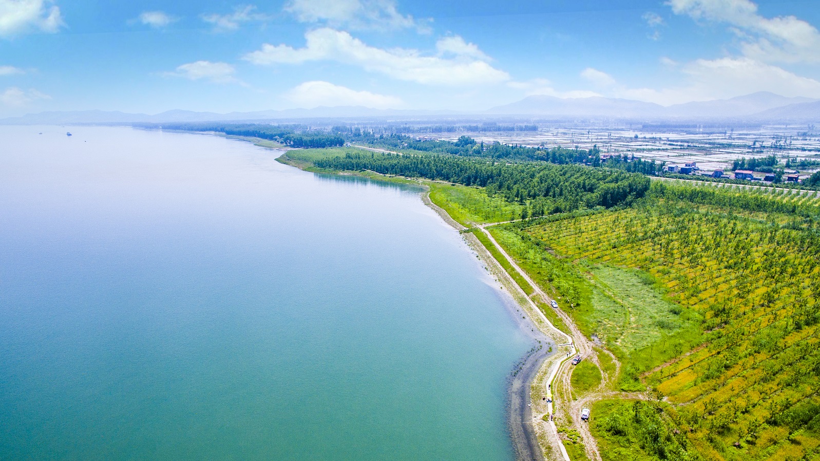 长江航道生态工程建设成效掠影