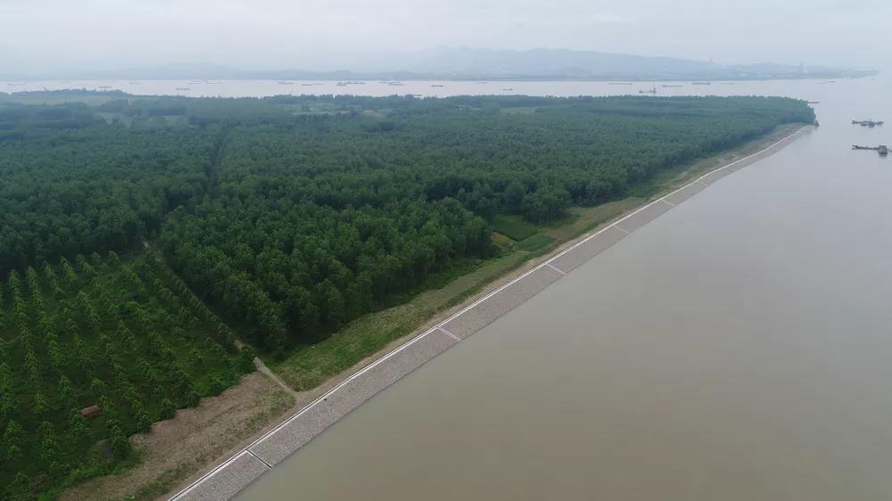 长江下游黑沙洲水道航道整治二期工程获奖