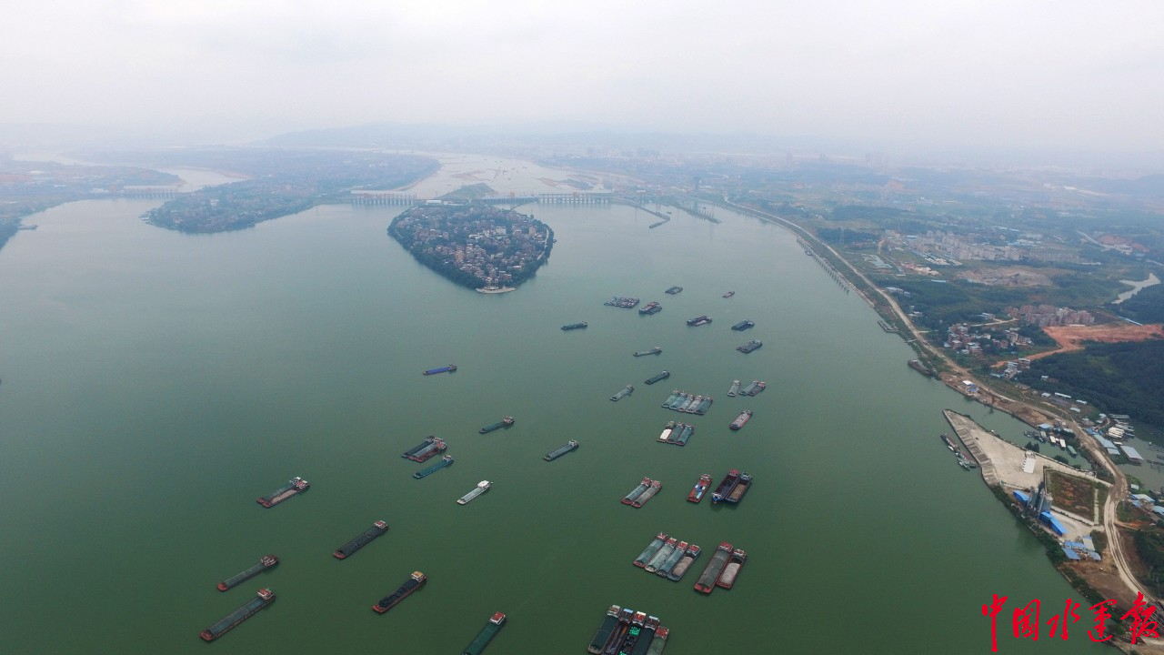 强!货物和集装箱吞吐量2019均两位数增长!珠江水运年货量首超10亿吨