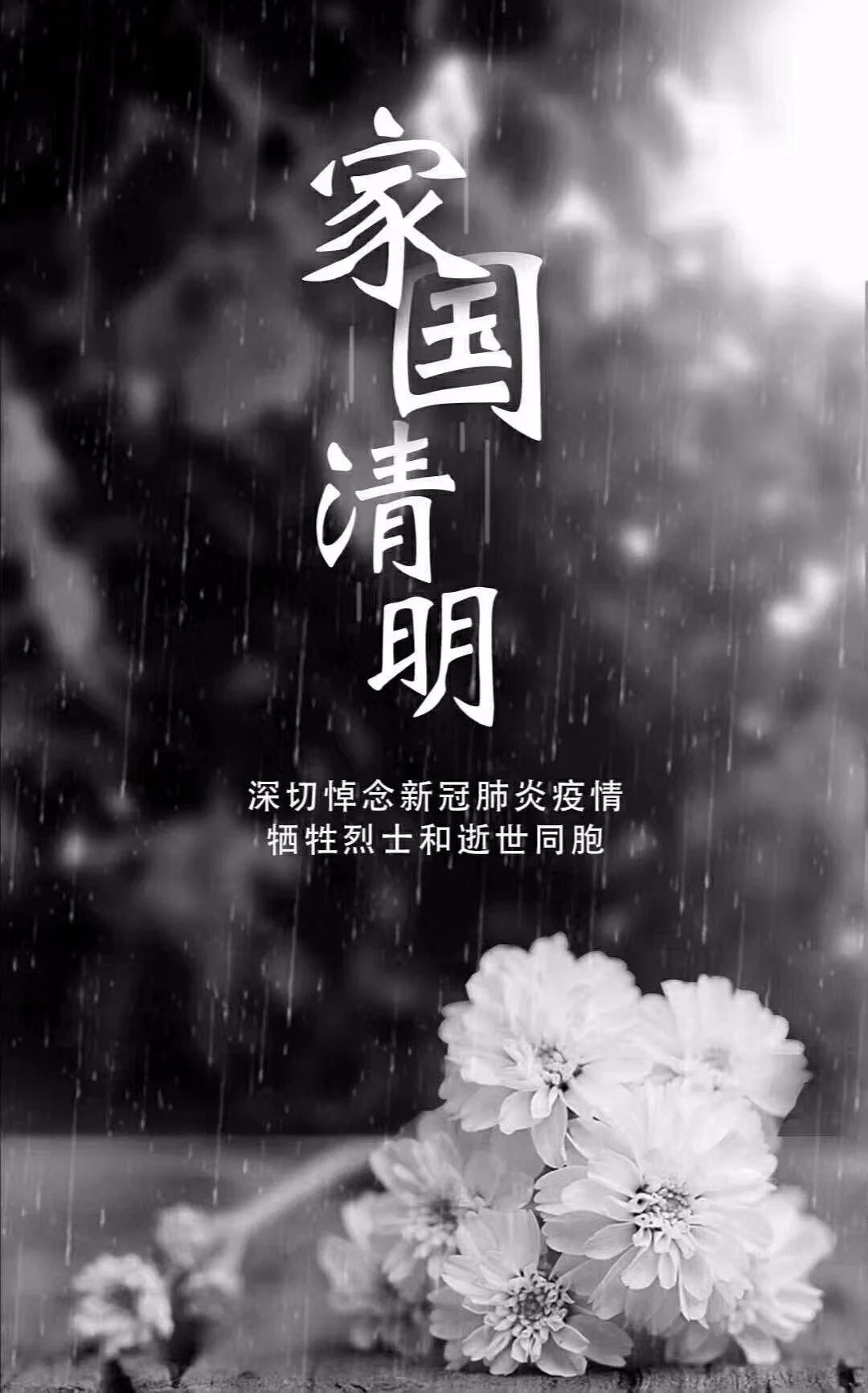 清明哀思02恸悼诗铭
