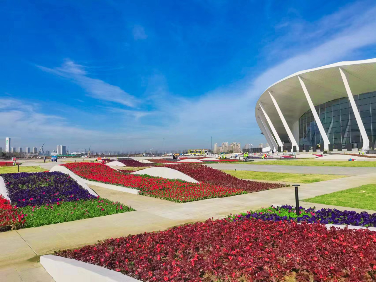 如意湖工程绿化统筹考虑青岛市树,市花,胶州市树,市花,多选择耐盐碱