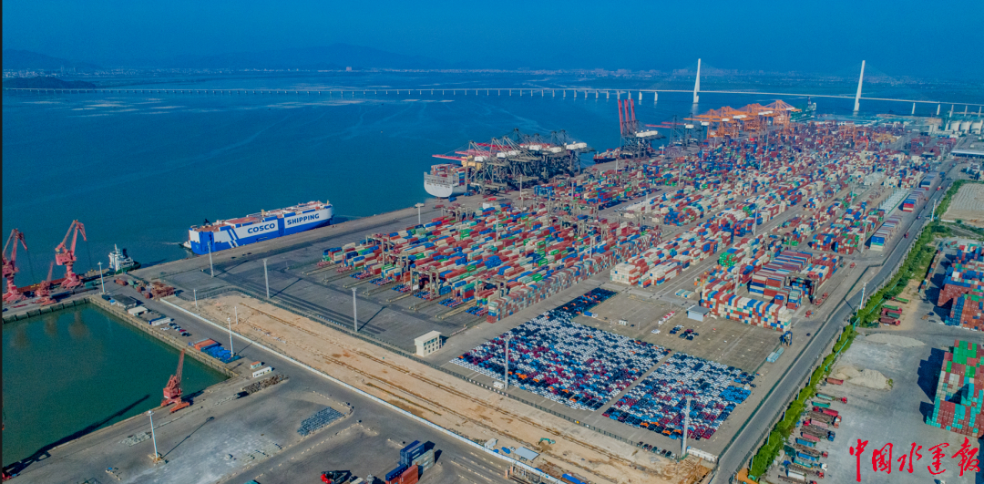 据介绍,这处位于厦门远海集装箱码头d15区的危险货物冷藏箱堆场,是由