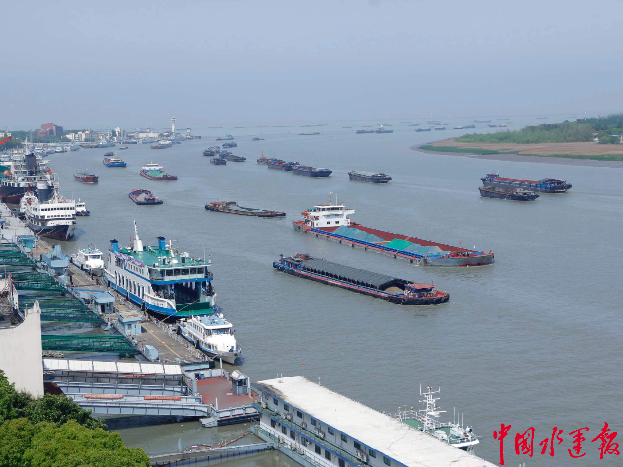 海上大雾消散吴淞海事局优先保障邮轮及民生物资船舶进出上海港